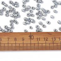 Backen Farbe Glas Rocailles, Silber, 6/0, 4 ~ 5x3 ~ 4mm, Loch: 1 ~ 2 mm; etwa 4500pcs / bag - #217349