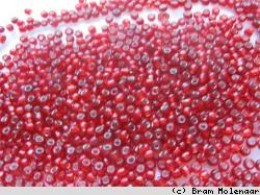 DK-rote Rocailles 2mm Silbereinzug 100Gram - #5987