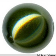 Glasperle dunkelgrün 4mm - 200 stuck (81022801) - #17031
