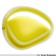 Gold Glas Perlen - 20 mm - 10 stuck (8088) - #10814