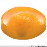 Keramik Perle orange (7467) - #11147