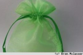 Organza grün 0,9x14cm - #15282
