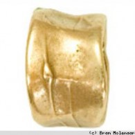 Planet Earth Bronskleurig Brede Ring 16mm - #6767