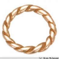 Planet Earth Bronze Ring 20mm - #6764