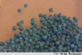Rocailles 2mm Aqua Solid - 10gr - #11861