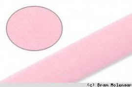 Velvet rose 6mm - 13m - #16880